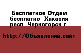 Бесплатное Отдам бесплатно. Хакасия респ.,Черногорск г.